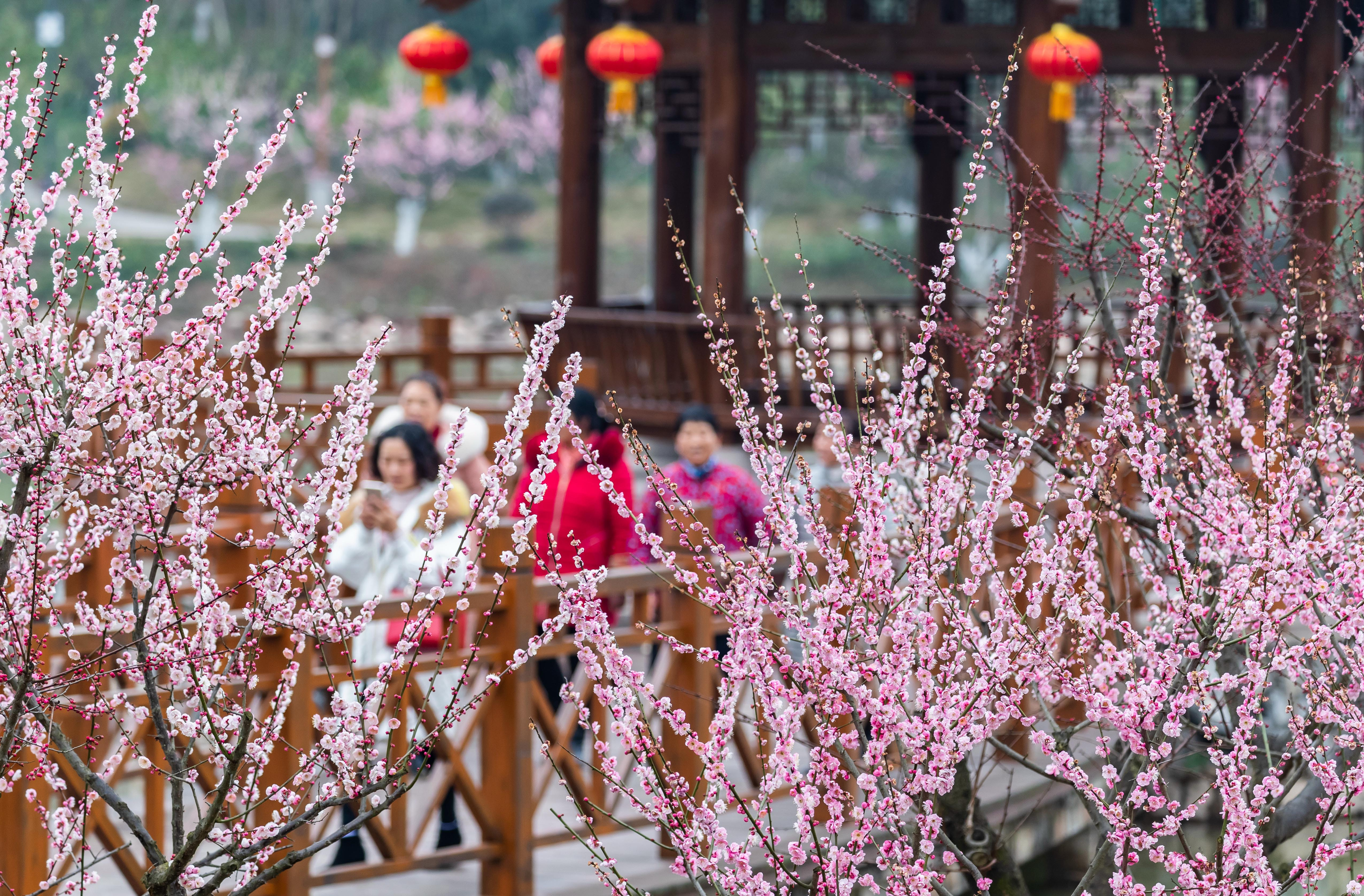 梨花教育：学习是一件非常有益的事情